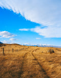 Staring at a Road