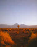 Lonely Baloon