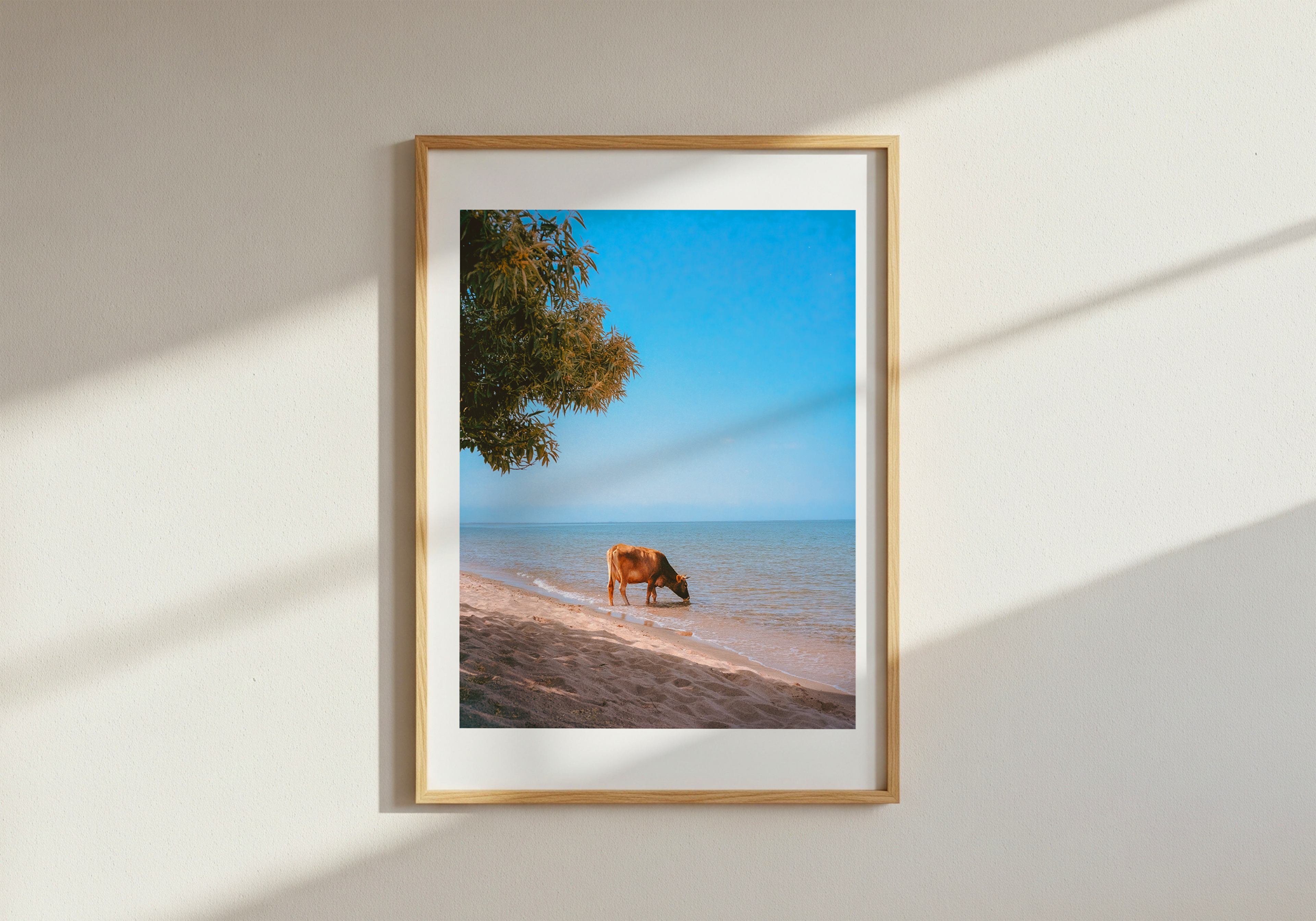 Hooves in the Sand