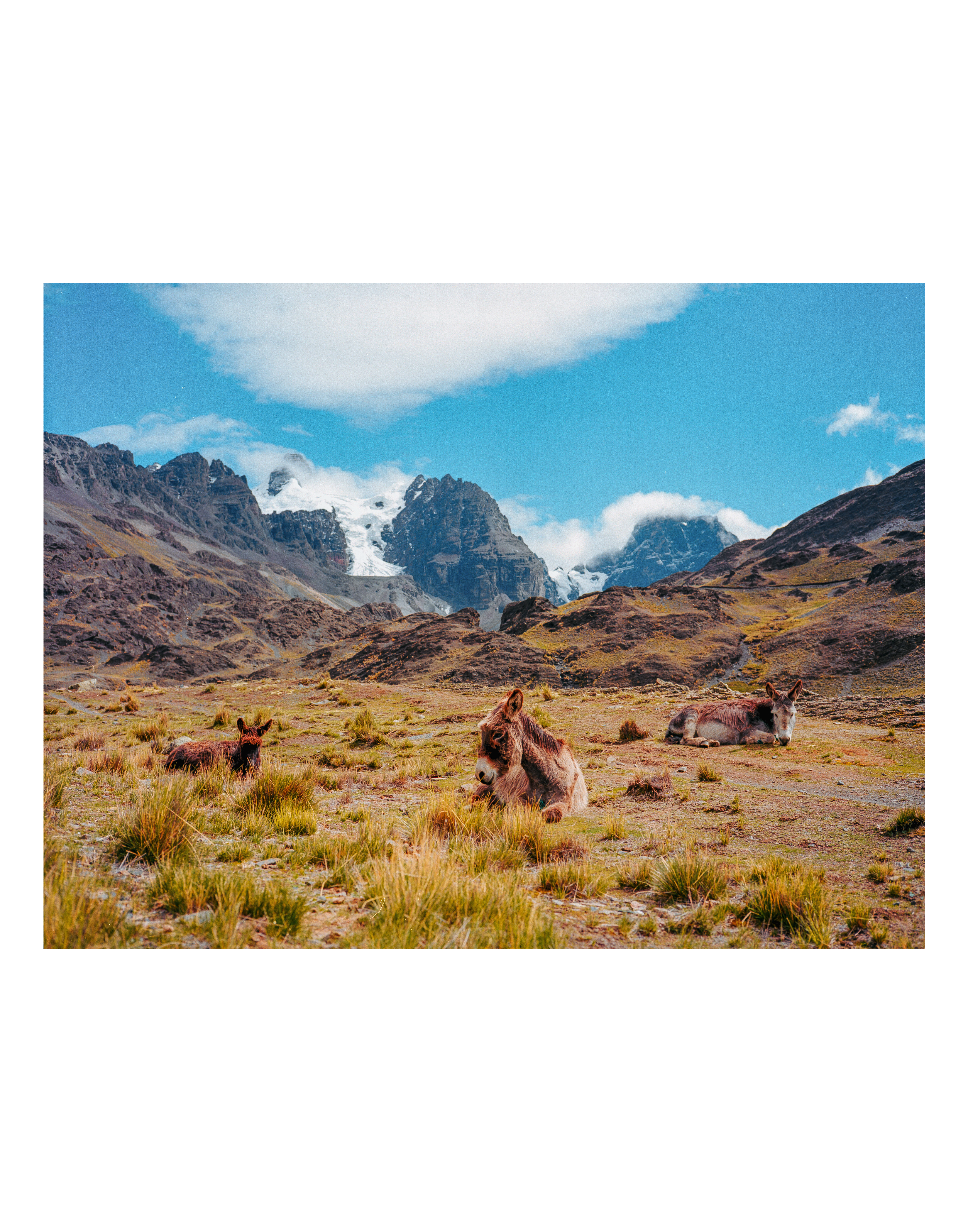 Donkey Peaks