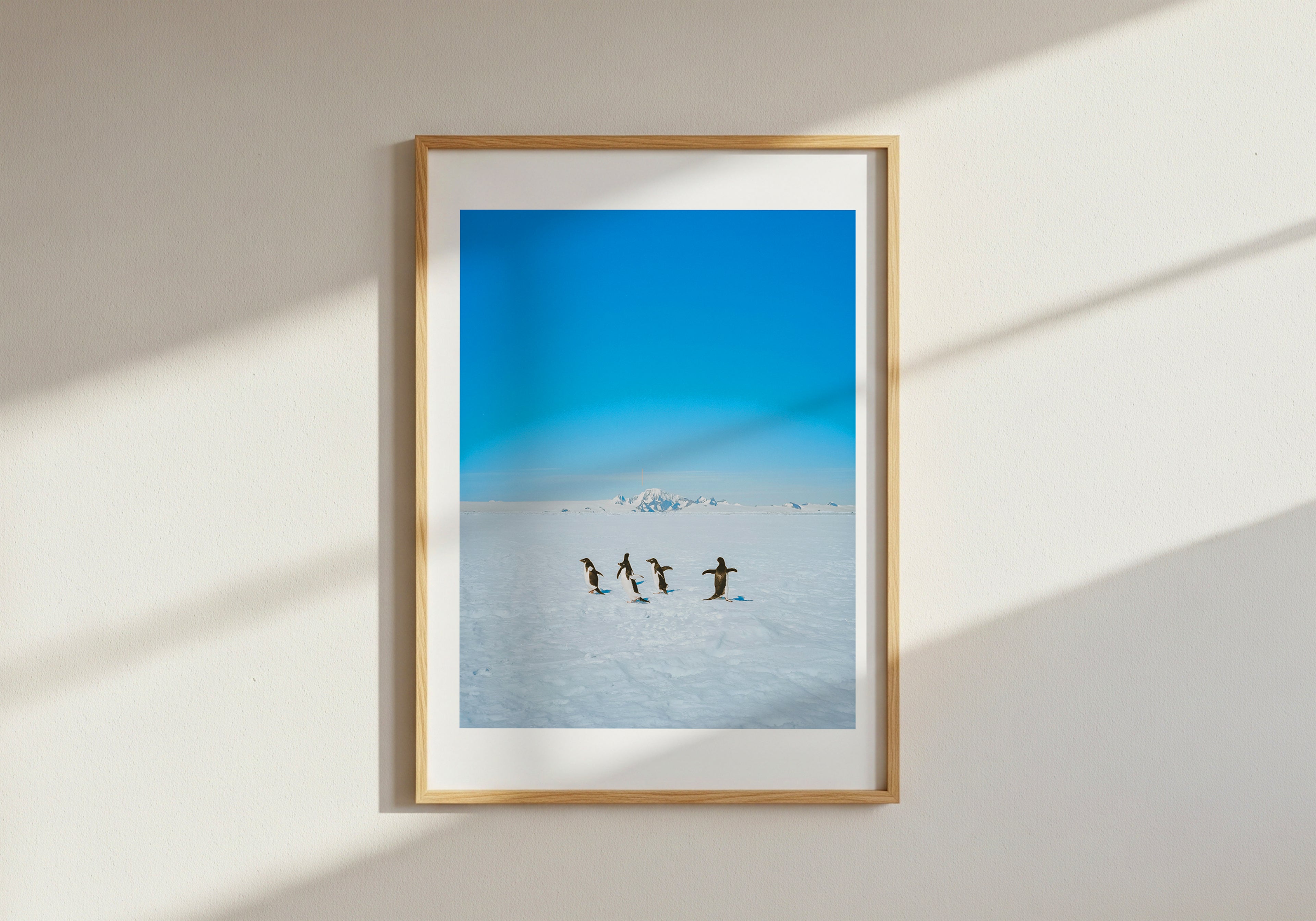 Penguin Posse