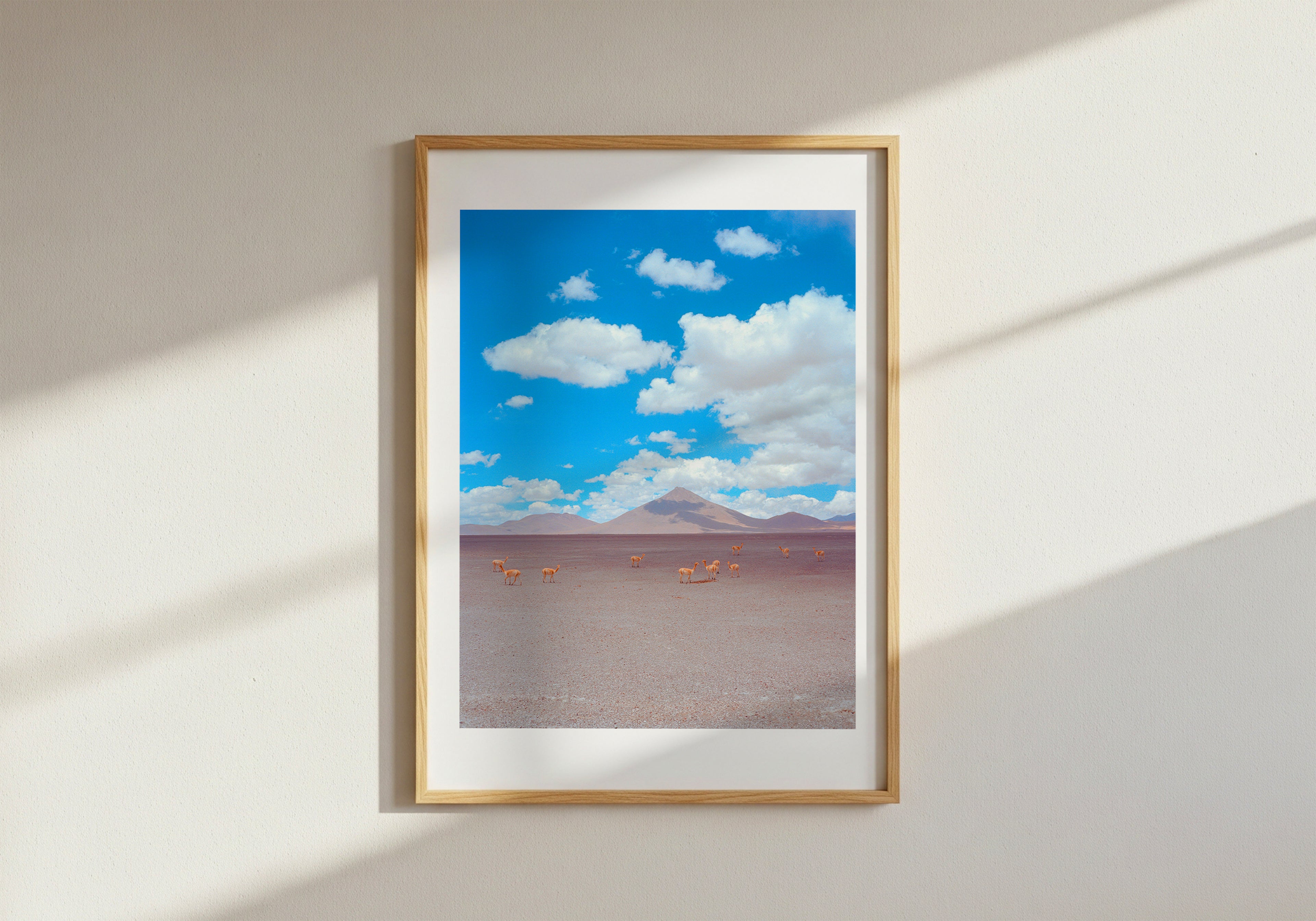 Volcanic Vicuña